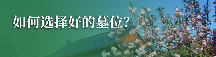 九里山公墓二区